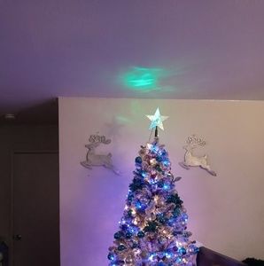 Meet your Posher, Cesar